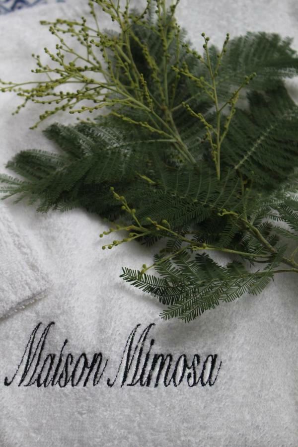 Maison Mimosa Nevez Bagian luar foto